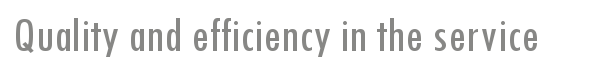 Quality and efficiency in the service
